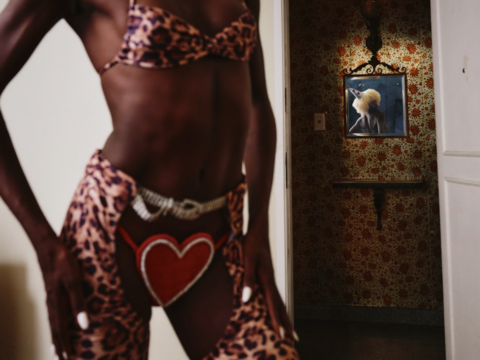 LEOPARD SIREN CHAPS